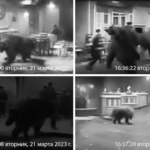 frames of CCTV camera coverage of Putin Assassination