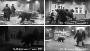 frames of CCTV camera coverage of Putin Assassination