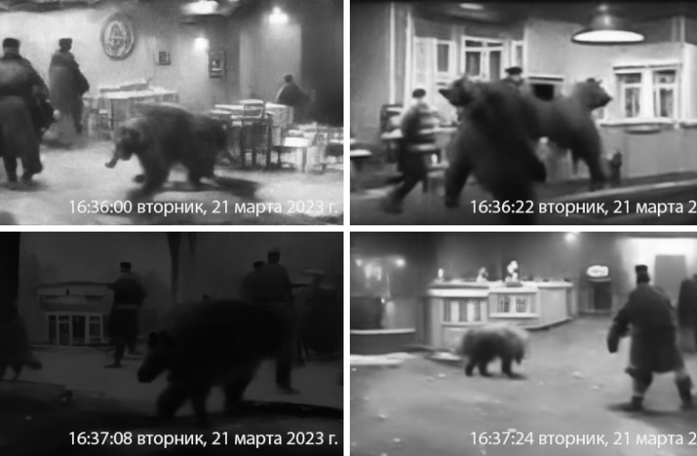 BREAKING: Putin “Assassinated by Circus Bear,” per KGB reports